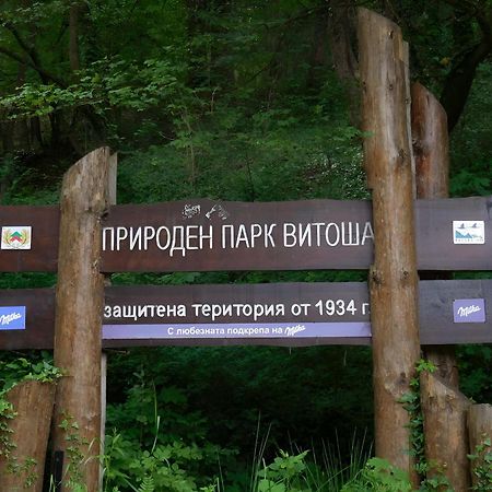 Pinus Villas Lodge With Private Jacuzzi & Phyto-Sauna Retreat Zheleznitsa Exterior photo