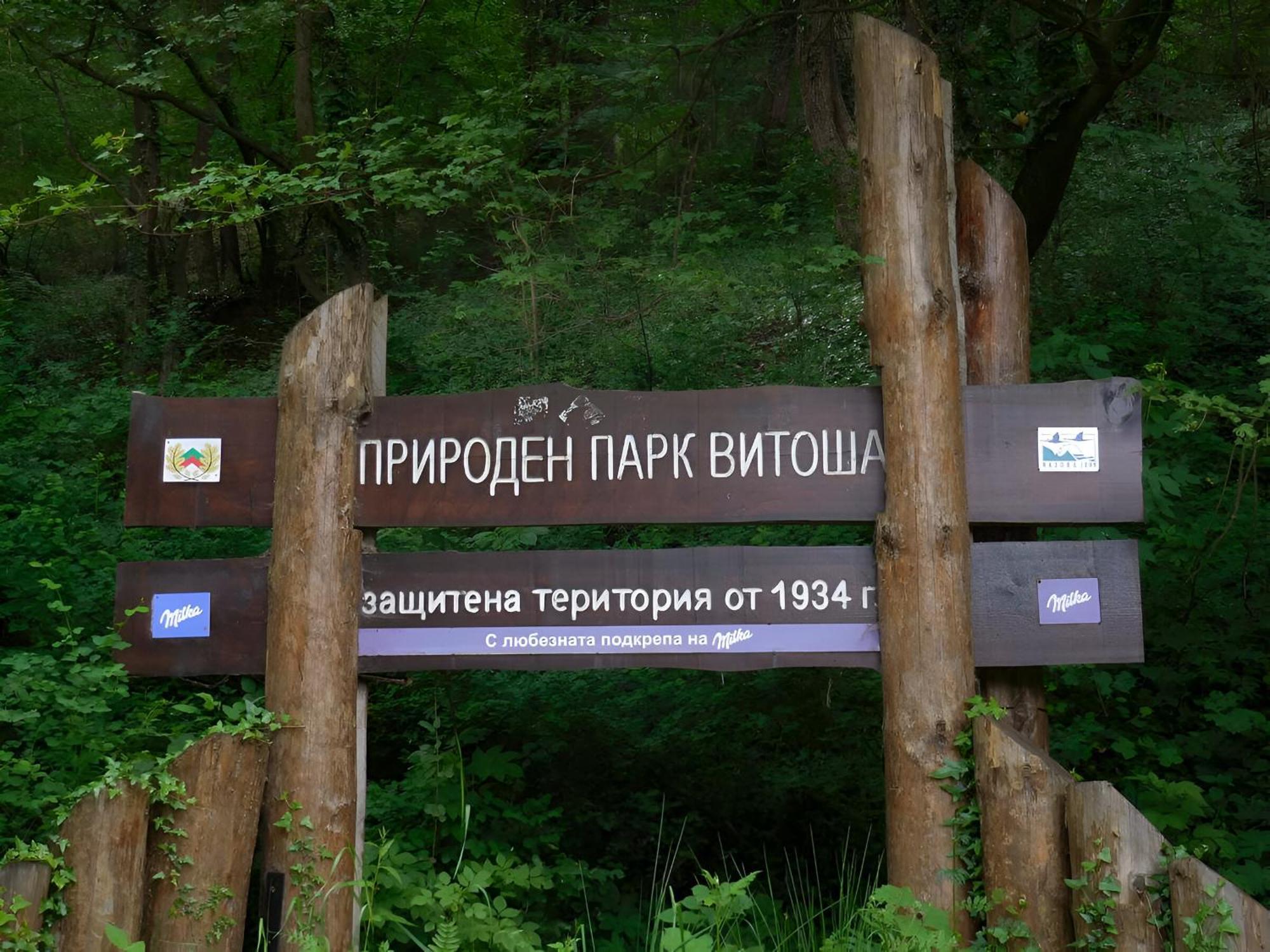 Pinus Villas Lodge With Private Jacuzzi & Phyto-Sauna Retreat Zheleznitsa Exterior photo